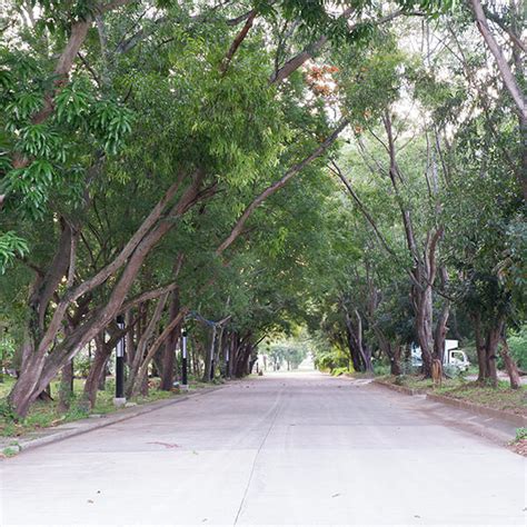 Key Features – Azuela Cove.